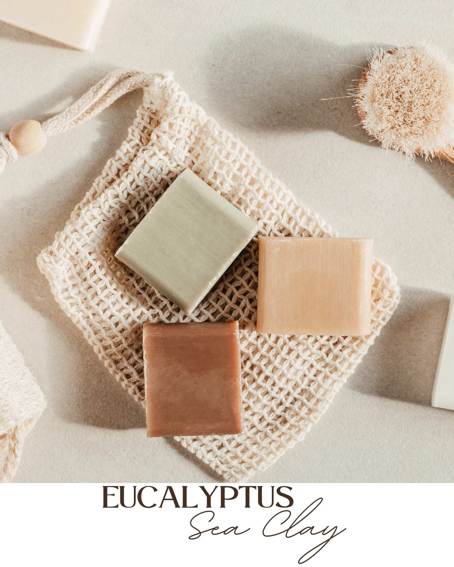 Eucalyptus Sea Clay Class