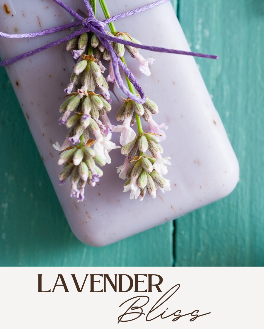 Lavender Bliss Soap Class