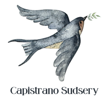 Capistrano Sudery logo transparent