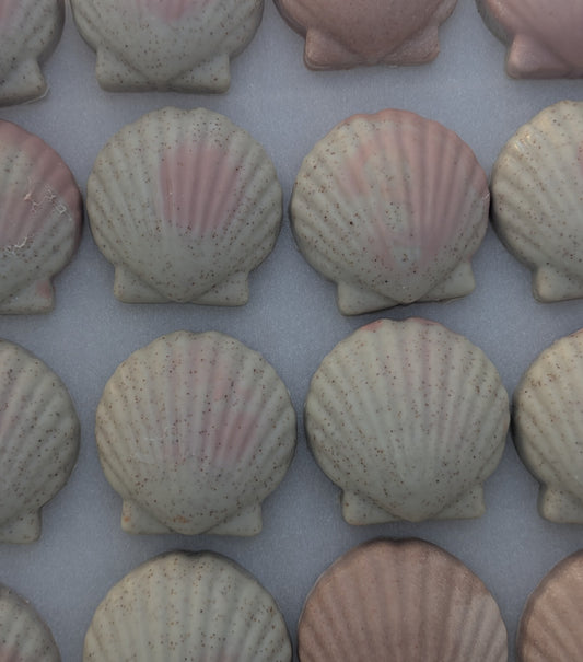 Sea Shell Soapmaking Workshop January 8th, 2026 6 PM-8 PM